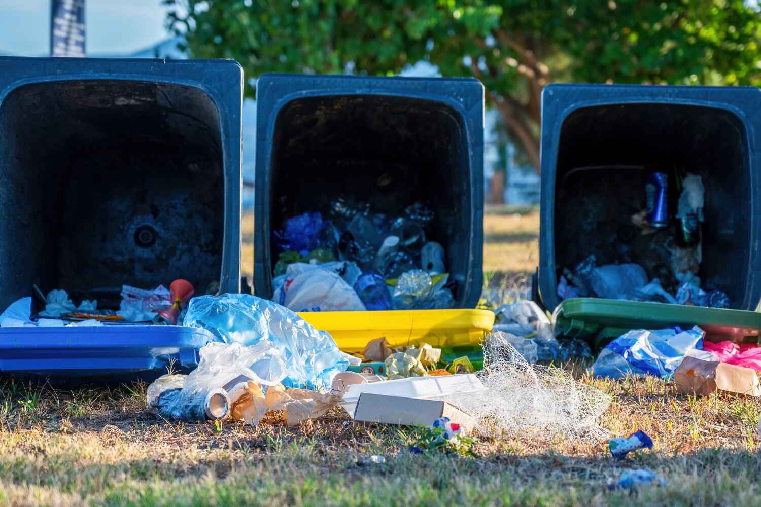 Household Junk Removal in Meridian Village, CO